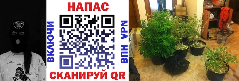 гидра ссылки  Ужур  Конопля марихуана 